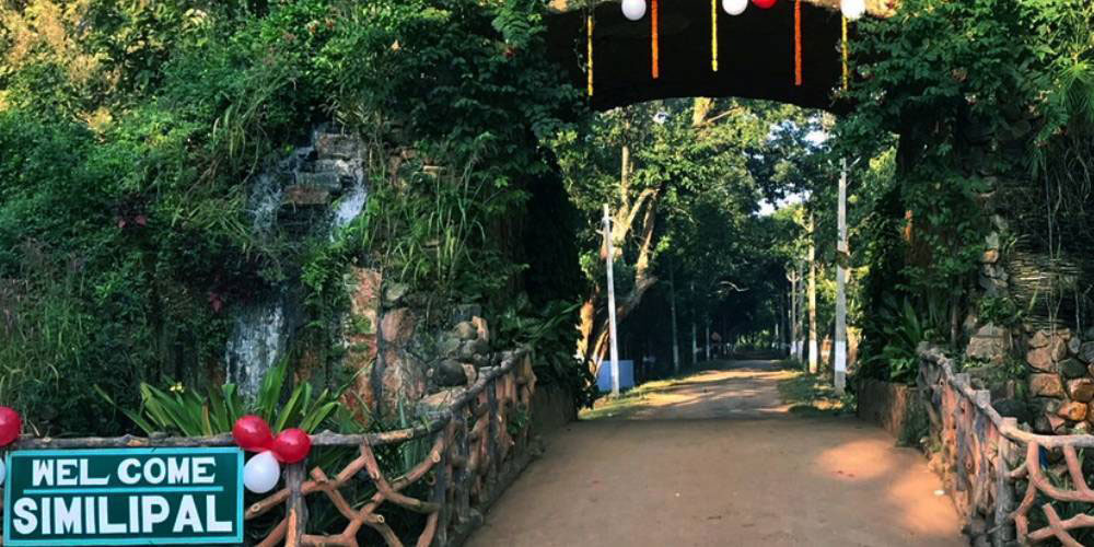 Best Odisha Adventure Tour Packages for Nature Trails, Wildlife Safaris, and Beach Escapes