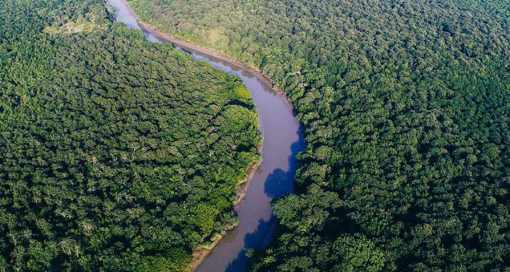 Bhitarkanika Wildlife Tour: A Unique Journey into Odisha’s Mangrove Wilderness