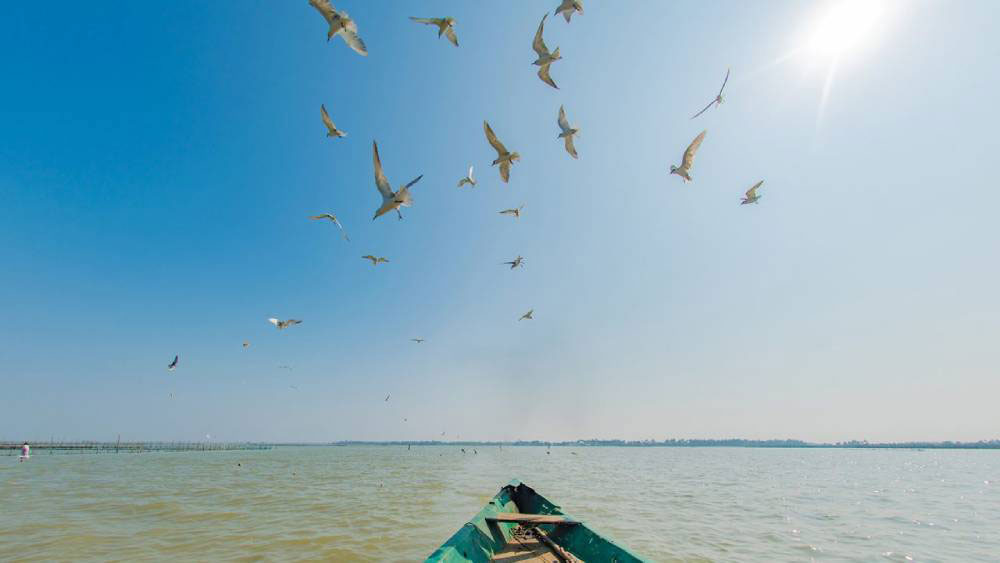 Discover the Best Odisha Tour Packages from Bhubaneswar: Unforgettable Adventures with HRT Vacations