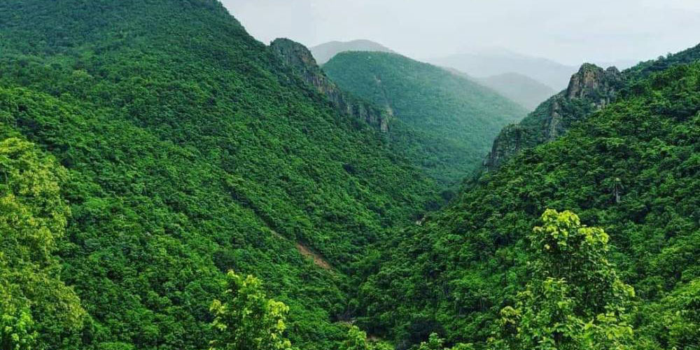 Looking for a Trusted Tour Operator in Odisha? Here's Why Travelers Choose Us