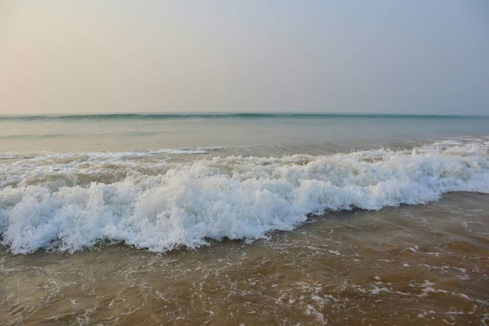 Odisha Corporate Travel Packages for Smooth Business Trips and Team Mobility